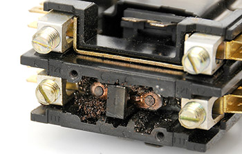 Certain ants sometimes congregate in electrical boxes, where they can cause shorts in electrical systems. These acrobat ants shorted out an electrical connector and disabled a home air conditioner. (Photo by MSU Ag Communications/Scott Corey)