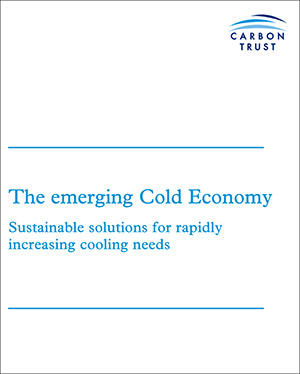 The-emerging-Cold-Economy